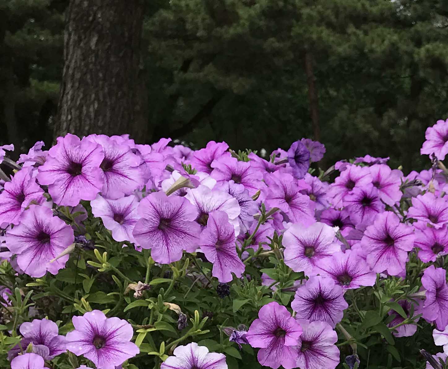 歲月長(zhǎng)歌！